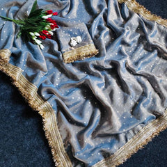 Grey Viscose Saree with Embroidery Lace Border